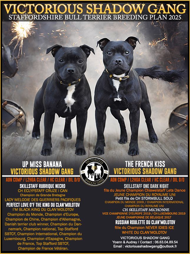 GESTATION CONFIRMÉE